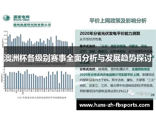 澳洲杯各级别赛事全面分析与发展趋势探讨